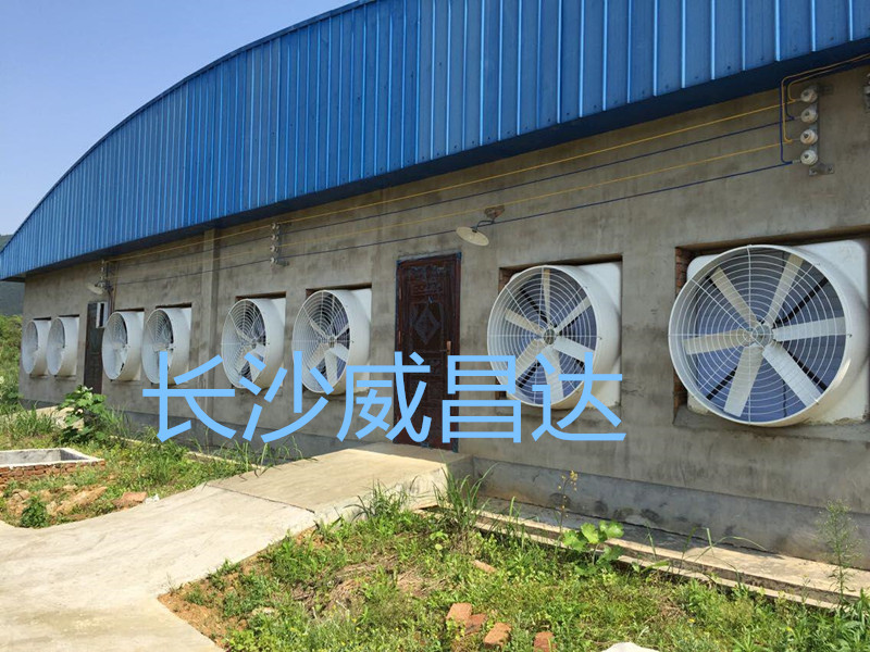 水簾風(fēng)機,湖南水簾風(fēng)機